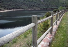 Ecosistema natural regado por el río Tajo