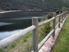 Ecosistema natural regado por el río Tajo
