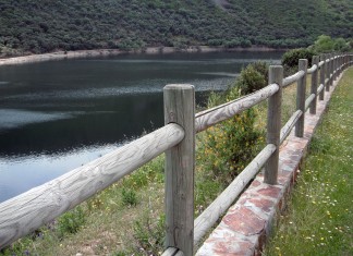 Ecosistema natural regado por el río Tajo