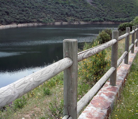 Ecosistema natural regado por el río Tajo