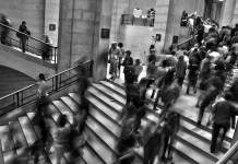Gestión del conocimiento y detección del talento
