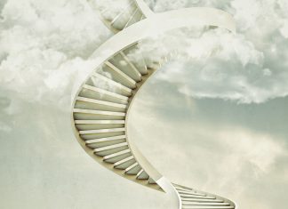 El camino hacia el cloud 2.0