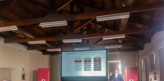 Observatorio Vodafone de la empresa