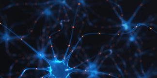 Real Intelligence: The True Challenges and Implications of AI