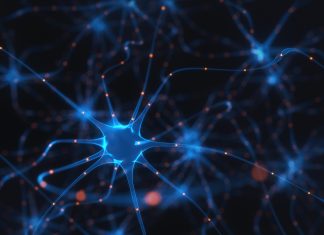 Real Intelligence: The True Challenges and Implications of AI