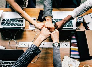 Management and entrepreneurship