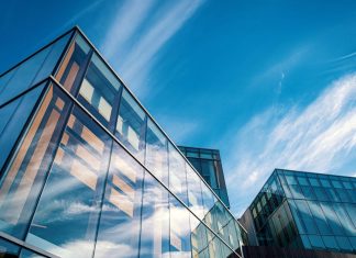 Innovación y competitividad empresarial