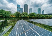Behavioral Economics and Sustainability