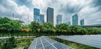 Behavioral Economics and Sustainability
