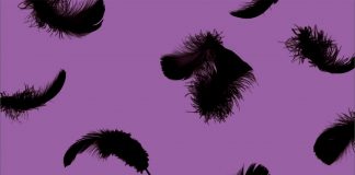 La teoría del cisne negro