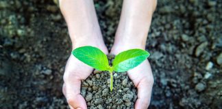Impacto medioambiental y consumidores Impacto medioambiental y consumidores