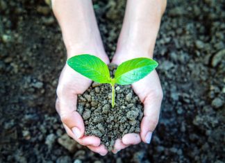 Impacto medioambiental y consumidores Impacto medioambiental y consumidores