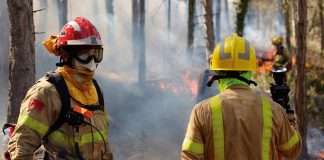 El código abierto ayuda a salvar vidas Código Abierto