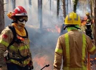 El código abierto ayuda a salvar vidas Código Abierto
