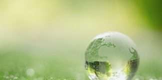 Mejorar el medio ambiente desde la empresa Medio ambiente