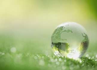 Mejorar el medio ambiente desde la empresa Medio ambiente