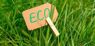 Hipocresía verde y economía Hipocresía verde y economía