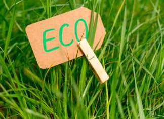 Hipocresía verde y economía Hipocresía verde y economía