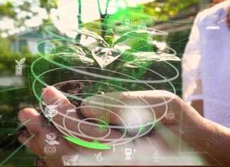 Economía circular con un objetivo de rentabilidad Economía circular con un objetivo de rentabilidad