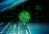 Fraude e identidad digital Fraude e identidad digital