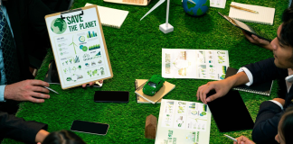 Emprendimiento verde en España Emprendimiento sostenible