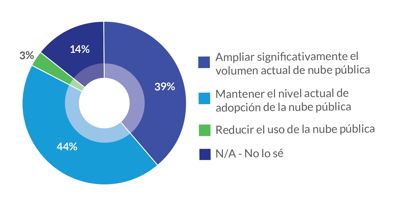 Grafico 1