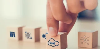 MaaS (model as a service) Model as a service