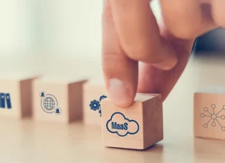 MaaS (model as a service) Model as a service