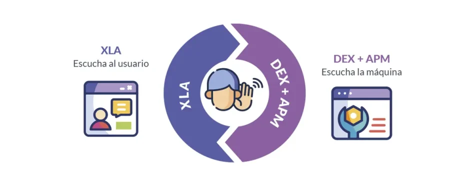 db70_xla-dex-apm